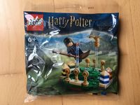 Lego Polybag Harry Potter 30651 Quidditch Practice NEU Baden-Württemberg - Rottenacker Vorschau