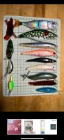 HARDBAITS ZECK SAVAGE GEAR WESTIN SALMO RAPALA BALZER ETC. Hamburg-Mitte - Hamburg St. Pauli Vorschau