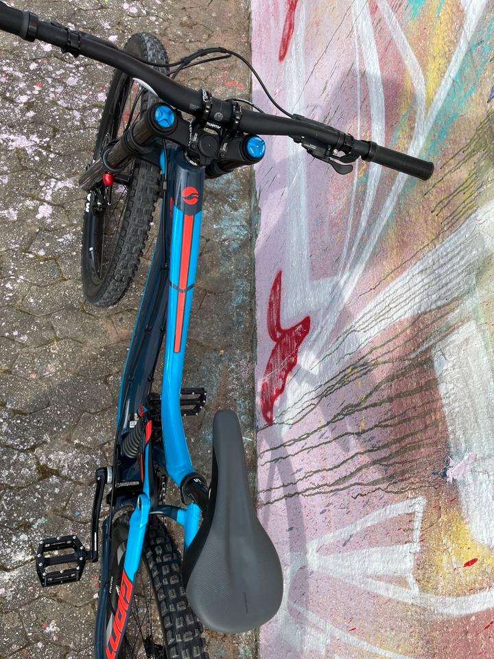 Giant Glory L Mullet 29/27,5Zoll  FOX Downhill Rad Neuaufbau in Wiesbaden