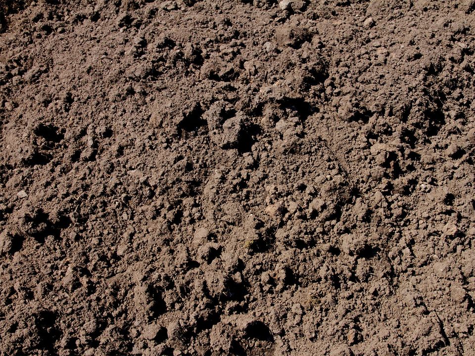 Gesiebter Mutterboden Kiel und Umgebung in SchleswigHolstein