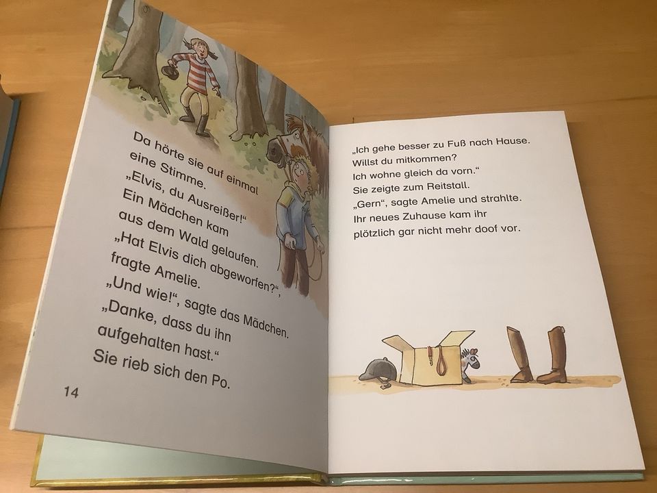 Leselöwen, Die besten Ponygeschichten für Erstleser, Kinderbuch in Düsseldorf