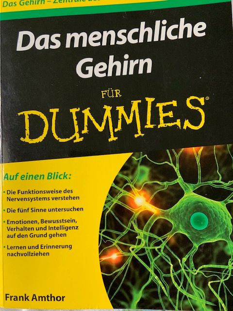 "Dasmenschliche Gehirn für Dummies" von Frank Amthor in Hamburg