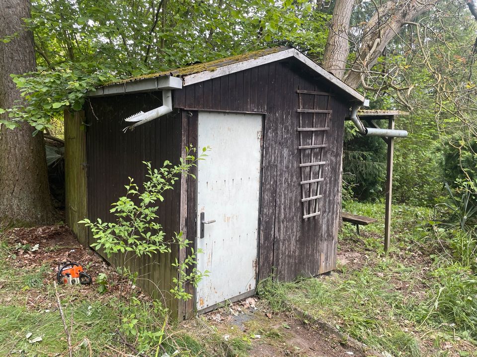 Eigentum! Grundstück Garten ca. 2800m2 in Oderberg in Oderberg