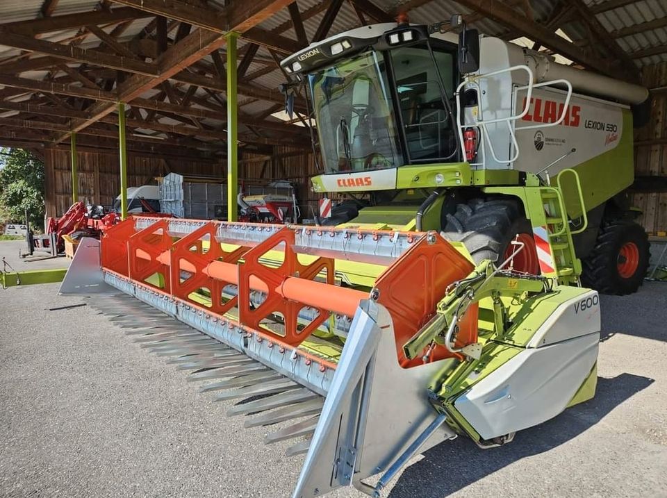 Sonnenblumen Vorsatz Claas New Holland John Deere Fendt ... in Wunstorf