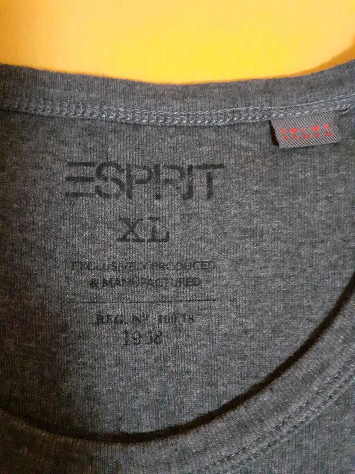 Herren T- Shirt von ESPRIT Größe XL in Nürnberg (Mittelfr)