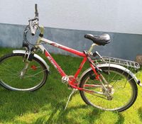 Fahrrad für Kinder Hessen - Homberg (Efze) Vorschau
