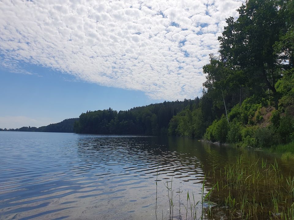 Schweden Anwesen Haus Landschaftsanwesen auf 10,1 Hektar in Putgarten