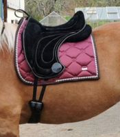 Signum Reitpad Dressage Kenzie Dysli, L, schwarz, neuwertig Baden-Württemberg - Abtsgmünd Vorschau