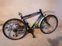 Winterprojekt Bastler Mountainbike Touren Fahrrad 26 Zoll Bayern - Volkach Vorschau