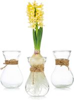 Design Glasvase Blumenvase Hyazinthen Glas Vase Tischdeko Neu West - Nied Vorschau