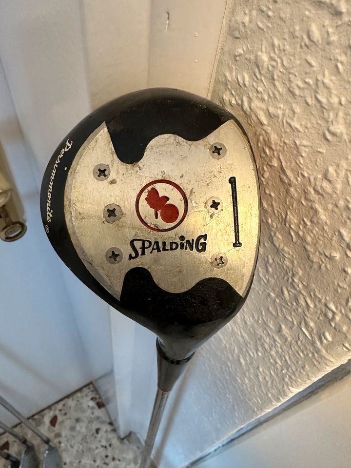 Golfschläger Schlägersatz Spalding Beth Stone mit Carry-Bag in Simbach