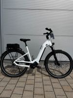 Pegasus Estremo EVO 9 Lite Pinion MGU //NEU// Baden-Württemberg - Villingen-Schwenningen Vorschau