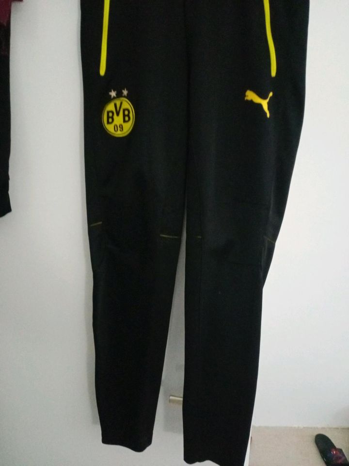 Dortmund Puma Jogginghose in Mainz