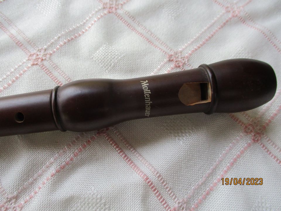 Mollenhauer Flöte Student Soprano 1004 d in Rabenau