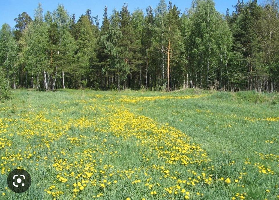 Suche Wiesengrundstück in Elm, zum kauf in Püttlingen