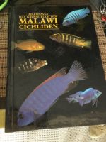 Das große Buch der Malawi cichliden barsche Konings TOP ! Bayern - Freising Vorschau