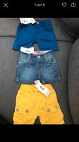 Steiff Shorts 62 Neu mit Etikett je 12 Euro Nordrhein-Westfalen - Dorsten Vorschau