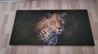 Leinwand leopard Thüringen - Triptis Vorschau