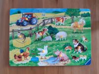 Ravensburger Steckspiel Tiere ab 2 Sachsen-Anhalt - Beetzendorf Vorschau