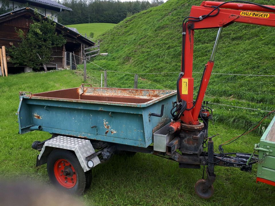 Kipper mit Palfinger Kran in Freilassing