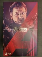 Hot Toys Hawkeye MMS289 aus Avengers 2 Köln - Köln Brück Vorschau