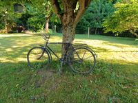 nostalgie SCHÜRLE antikes Fahrrad SCHEUNENFUND Herrenrad Rheinland-Pfalz - Nauort Vorschau