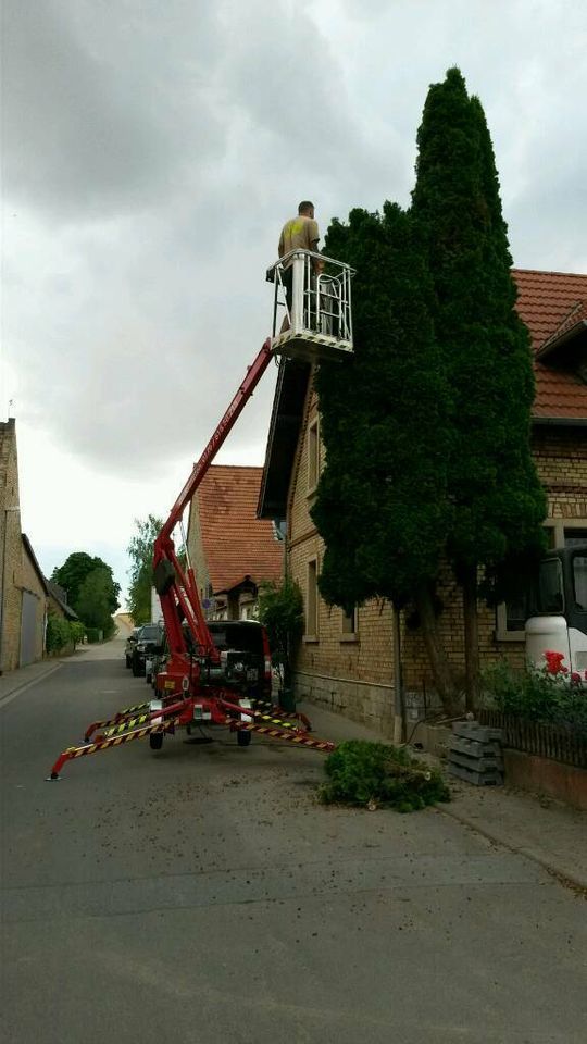 12m Anhänger Arbeitsbühne Steiger zu vermieten Rinne Dach Gerüst in Gau-Weinheim