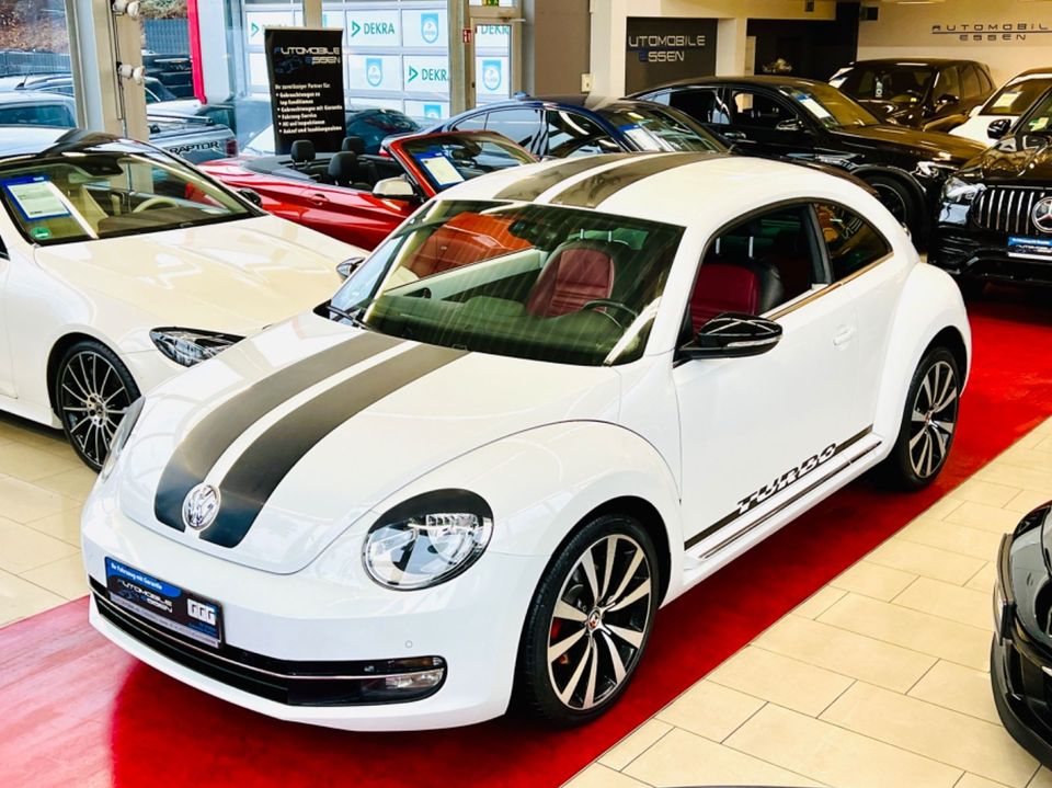 Volkswagen Beetle 2.0 TSI Sport|DSG|NAVI|LEDER|FENDER-SOUND in Essen