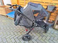 Buggy Kinderwagen Babyjogger City Elite Nordrhein-Westfalen - Heinsberg Vorschau