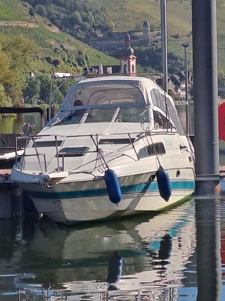 Bayliner 2655 Ciera mit Trailer, gepflegter Zustand in Schweitenkirchen