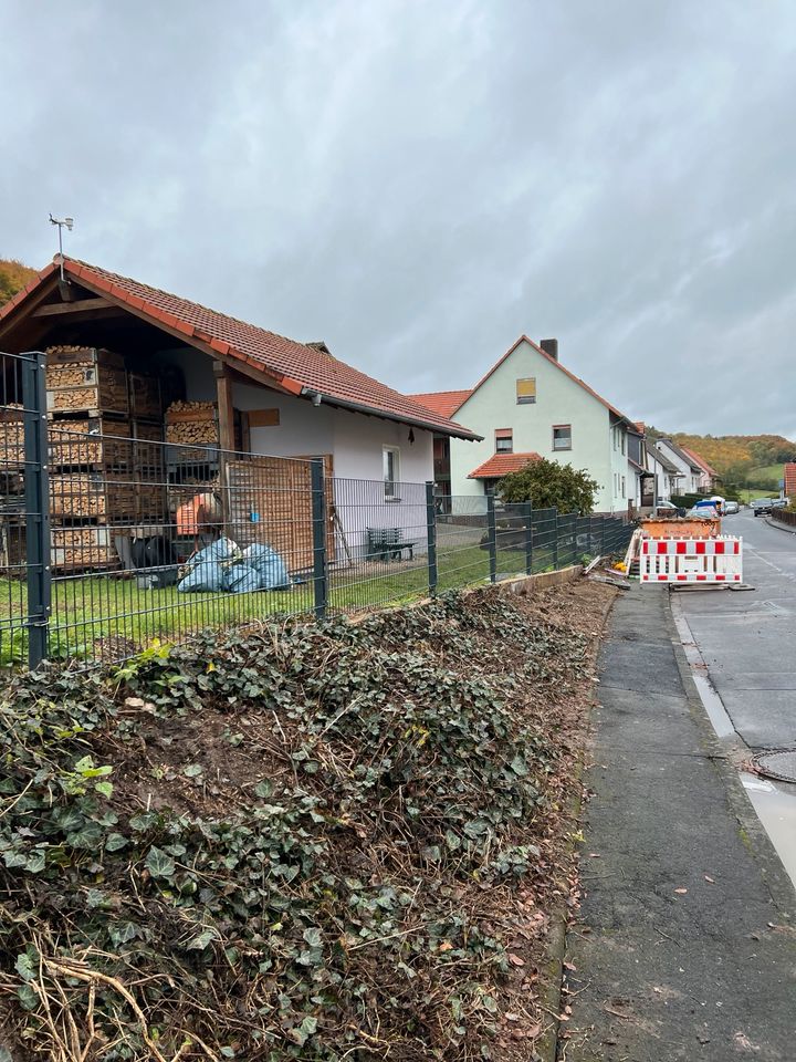 Zaunbau Tor Bau Gartenarbeiten in Allagen