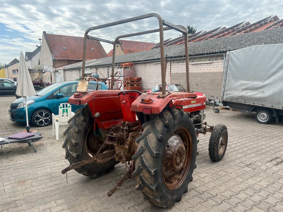 Massey Ferguson MF135 Traktor Oldtimer Brief IHC Scheunenfund in Worms