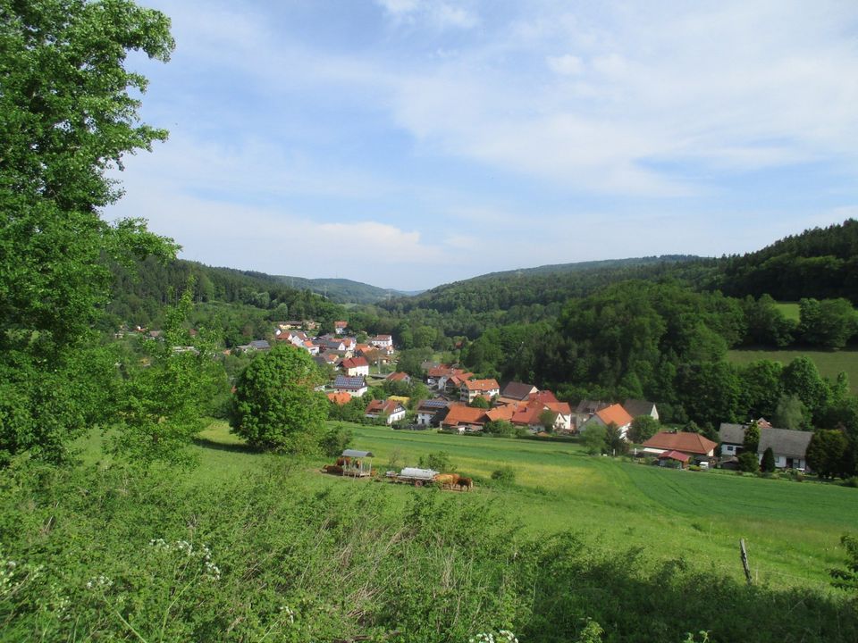 Ferienhaus Alte Waldschmiede in Knüllwald