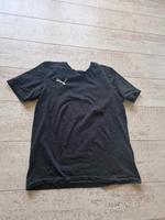 T-Shirt, puma, M Nordrhein-Westfalen - Mettingen Vorschau