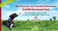 vom Hundehalter zum Gefährtenexperten. online Bayern - Rieden a. Forggensee Vorschau