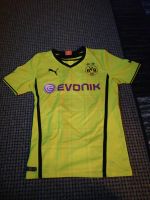 BVB Trikot / Heimtrikot 2013/2014 / Puma Schwerin - Lankow Vorschau