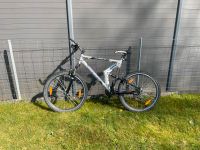 Fahrrad Mountainbike Bayern - Schwabach Vorschau
