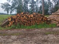 Brennholz  zu verkaufen Fichte Bayern - Schiltberg Vorschau