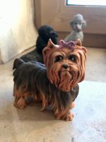 AK Kaiser Porzellan Yorkshire Terrier Berlin - Friedenau Vorschau