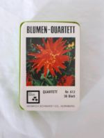 Rarität * Nürnberger Spielkarten Blumen Quartett Nr.612 Schleswig-Holstein - Bad Bramstedt Vorschau