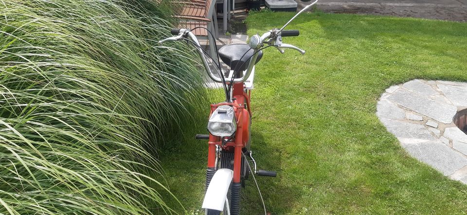 Seltene Solo 710 (Mofa, Moped) in Hainburg