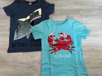 Pailletten Shirts in der Größe 122 Sachsen - Reinsdorf Vorschau