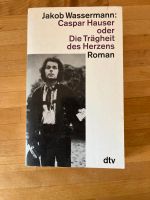 Wassermann Caspar Hauser oder die Trägheit des Herzens Bayern - Augsburg Vorschau