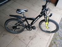 Kinder Mountainbike 20 Zoll Lakes Rheinland-Pfalz - Unkel Vorschau