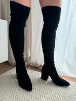 Steve Madden Stiefel Wildleder Frankfurt am Main - Kalbach-Riedberg Vorschau