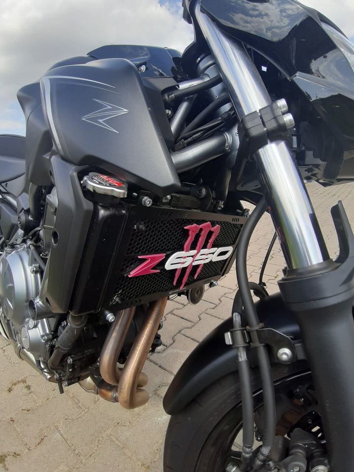 Kawasaki Z650, 1 .Hand, nur 1205km, TÜV und Batterie neu in Hamm