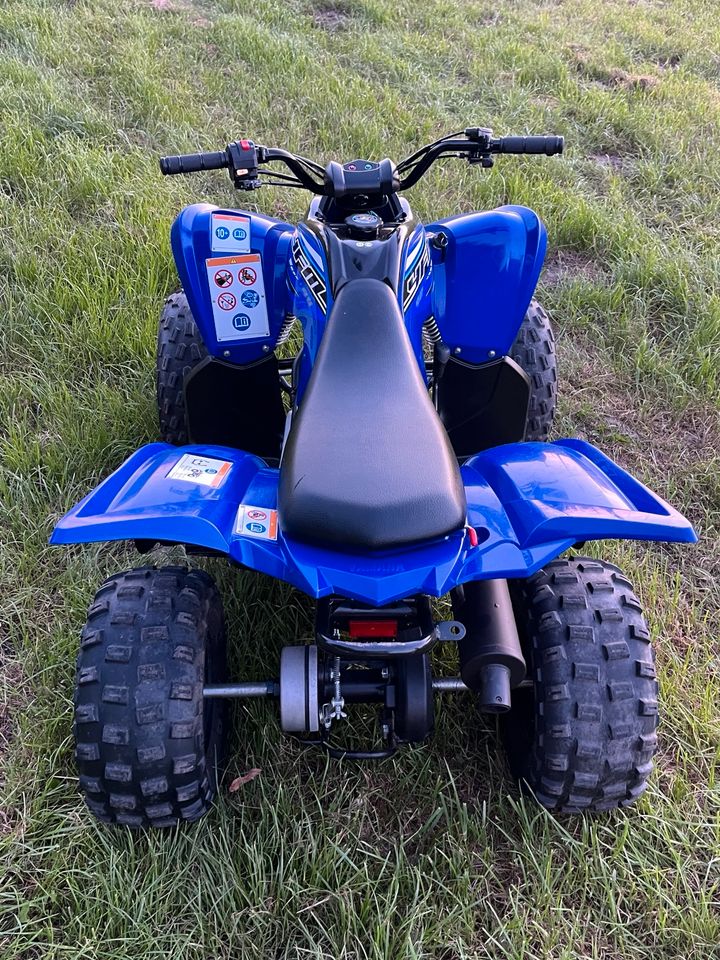 Yamaha YFM 90 Raptor Kinderquad in Rositz