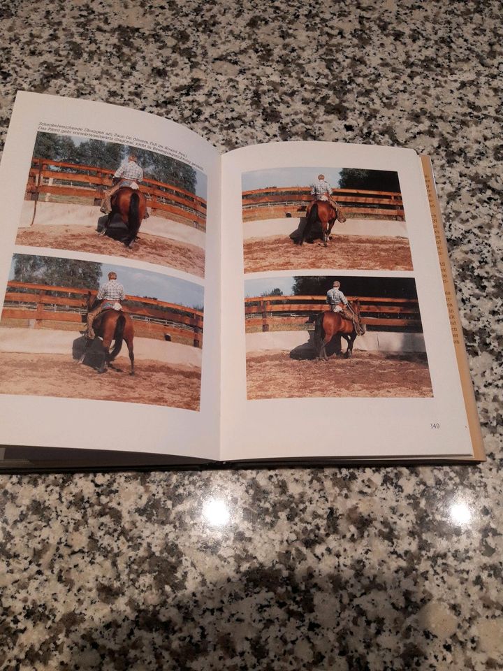 Peter Kreinberg- Handbuch für das Westernreiten 2 in Siek