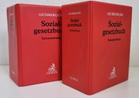 Sozialgesetzbuch Aichberger Textsammlung 2x Brandenburg - Groß Köris Vorschau