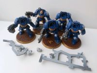 Ultramarines Warhammer 40K Essen - Essen-Ruhrhalbinsel Vorschau